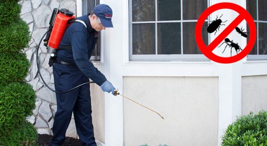 Korgun Kemirgen İlaçlama böcek ilaçlama ve haşere kontrolü — ilaclama-tr.com